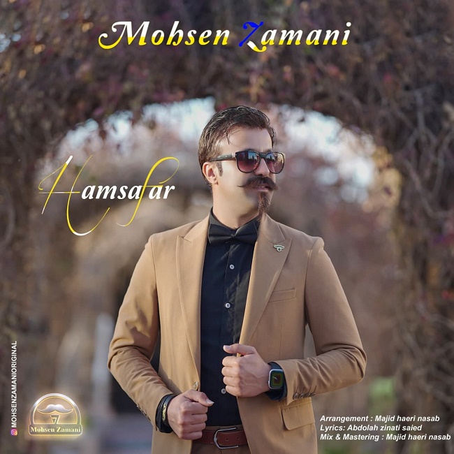 دانلود آهنگ همسفر